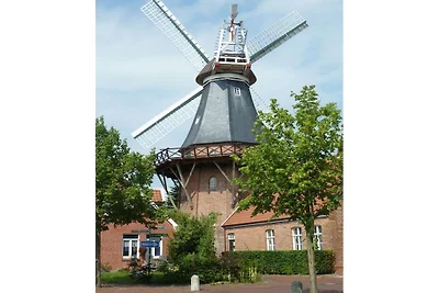 Hof Homfeld - Wohnung 1
