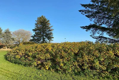 6 persone case ad Hadsund