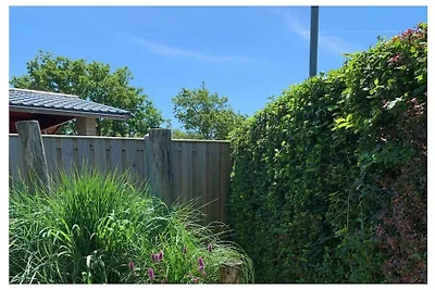 Bungalow in Zoutelande mit Schwimmbecken