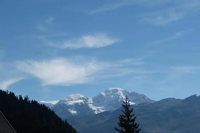 Chalet in 4 Vallées met Ski-In Toegang