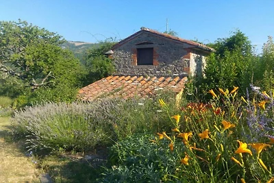 Podere di Maggio