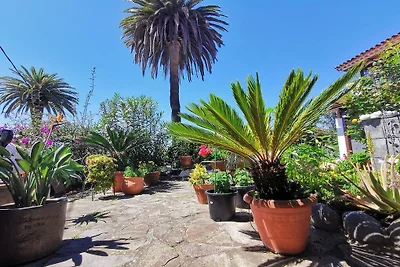 Joyau au paradis || La Victoria de Acentejo