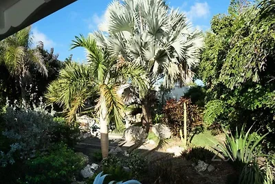 Villa in Saint-François mit Infinity-Pool