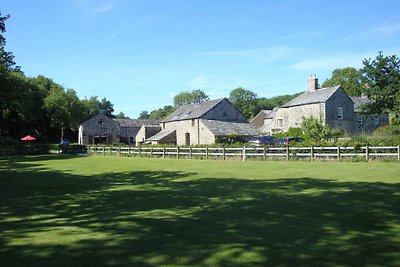 Schönes Ferienhaus mit Kamin in Tavistock