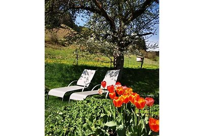 Blumenoase Allgäu Komfortable Ferienresidenz