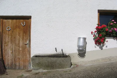 Ferienwohnung mit 1 Schlafzimmer