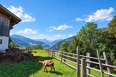 Appartamento ad Aschau vicino Kaltenbach