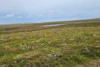 Strandparadies im Vadehavet -- By Traum...