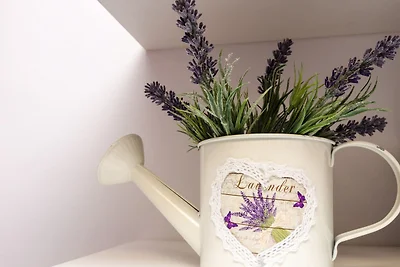 Lavender Garden Apartments - Studio Apartment...