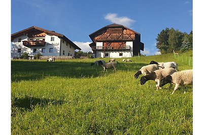 Staudnerhof Residenza di vacanza confortevole