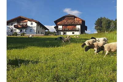 Ferienwohnung mit 2 Schlafzimmer