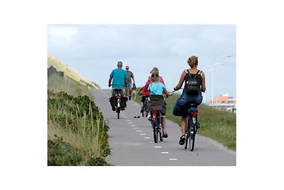 Ferienhaus in 't Zand mit Schwimmbecken