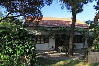 Appartement in Vrbanj met barbecue en wifi.