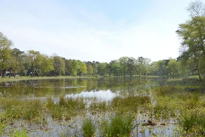 Schöner Bungalow, Natuurpark Vosseven 17 –...