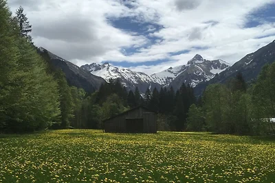 Alpenflair Ferienwohnung 110