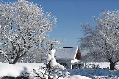 Erholsamer Familienaufenthalt in Feldwies