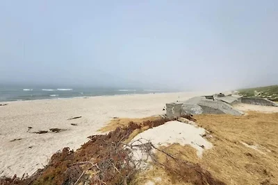 4 Personen Ferienhaus in Ringkøbing-By Traum
