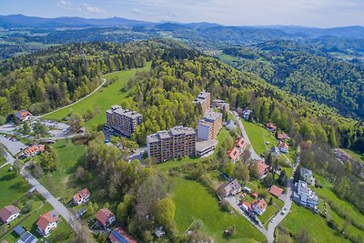 Appartement Michaela in Freyung mit Pool