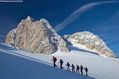 Chalet in Österreich mit Bergblick