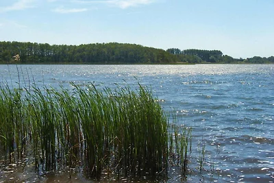 Doppelhaushälfte, Plau am See