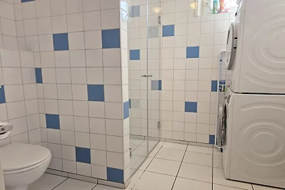 DO36 Vakantiehuis met hond Domburg