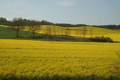 Modernes Apartment in Hessen am Waldrand