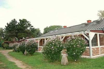 Hus an de Küst 2