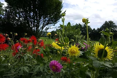 Holiday home in Rhön with 3 bedrooms