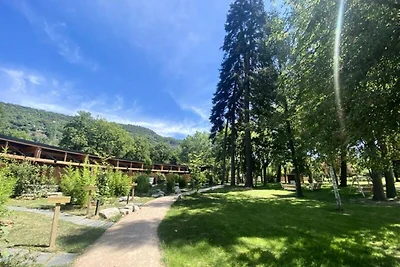 Casa vacanze ad Aveyron con spa e piscina