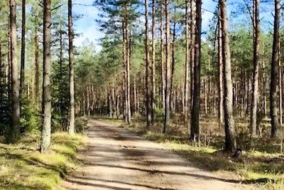 5 Personen Ferienhaus in Tving