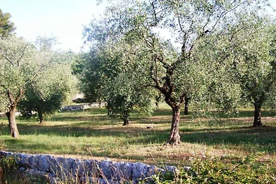 La Bergerie de l'Aspe