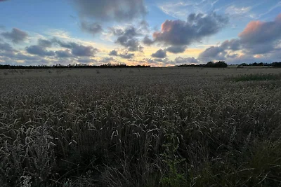 Ruhiger Dunenblick Ruckzugsort-By Traum