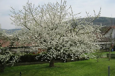 Im Haus Spessartblick