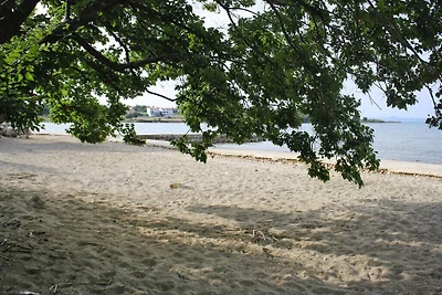 Casa vacanze a Privlaka vicino alla spiaggia ...