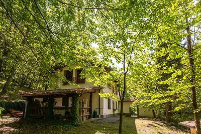 Ferienhaus Pistoia mit Pool