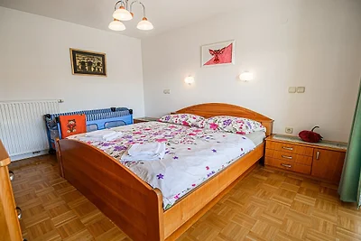 Sunny and Spacious Apartments with Terrace ne...