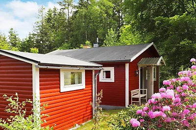 4 persoons vakantie huis in Åsljunga-By Traum