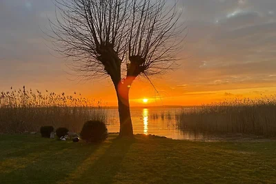 Un havre de paix portuaire sur la rivière...