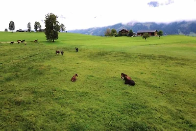 Wohnung in Saalfelden nahe Skipisten