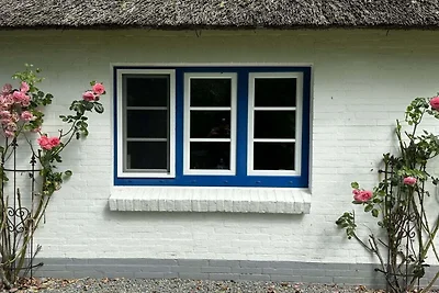 Vakantiehuis met 3 slaapkamers