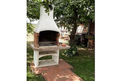Sous le vieux pommier
