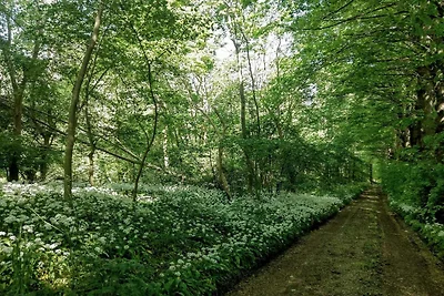 9 persone case ad Skibby