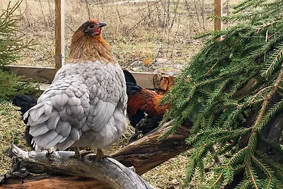 4 Personen Ferienhaus in Mellösa