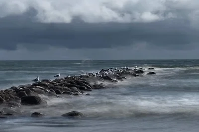 Luxus-Refugium in Blavand