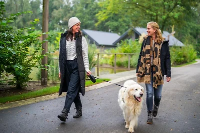 Öko-Villa in Latour am Teich