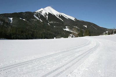 Schönes Chalet mit Terrasse