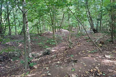 Familienhaus mit Terrasse und Liegewiese