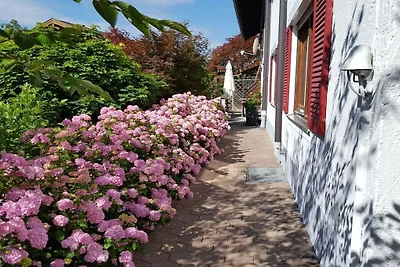 Chiemsee im Maderhof