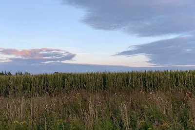 6 persoons vakantie huis in Rømø-By Traum