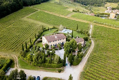 Bauernhaus in Lucca mit Weinbergblick